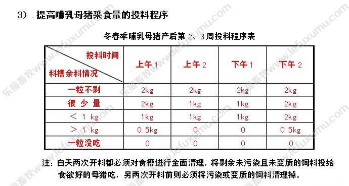 母猪料槽_母猪限位栏_母猪产床